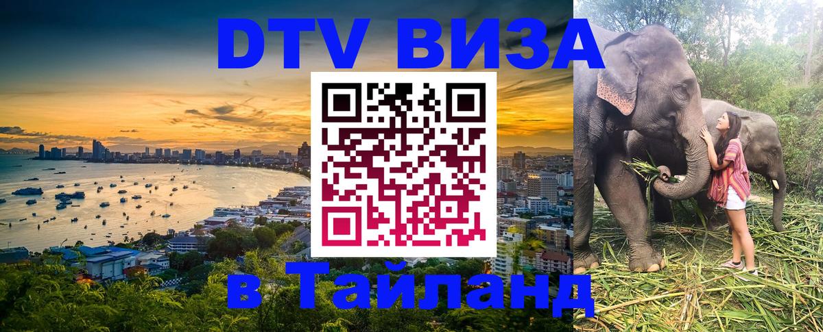 DTV (ДТВ) visa Таиланд Новочебоксарск 